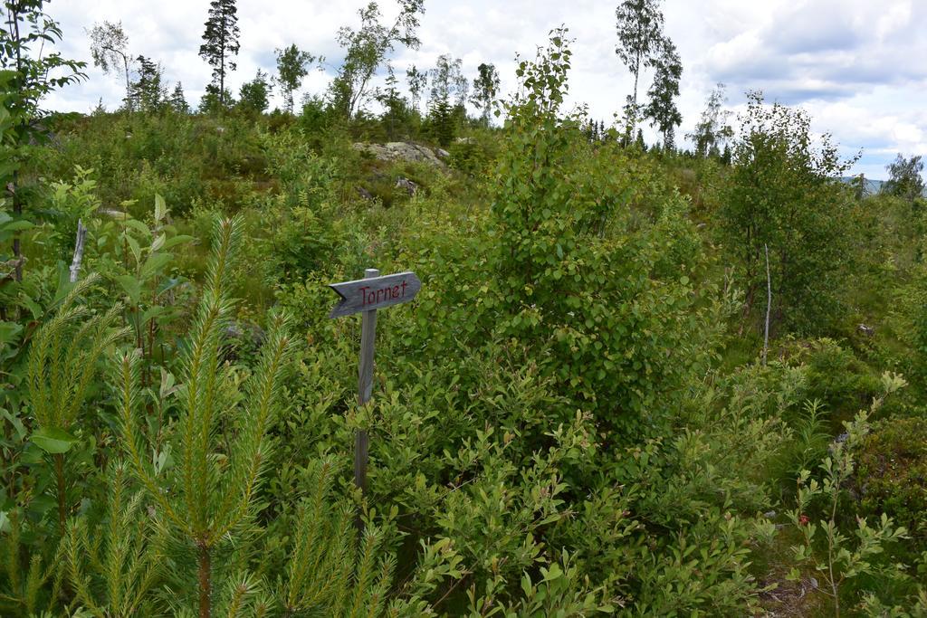 Mieps Huset Dalarna Holiday Kullen  エクステリア 写真