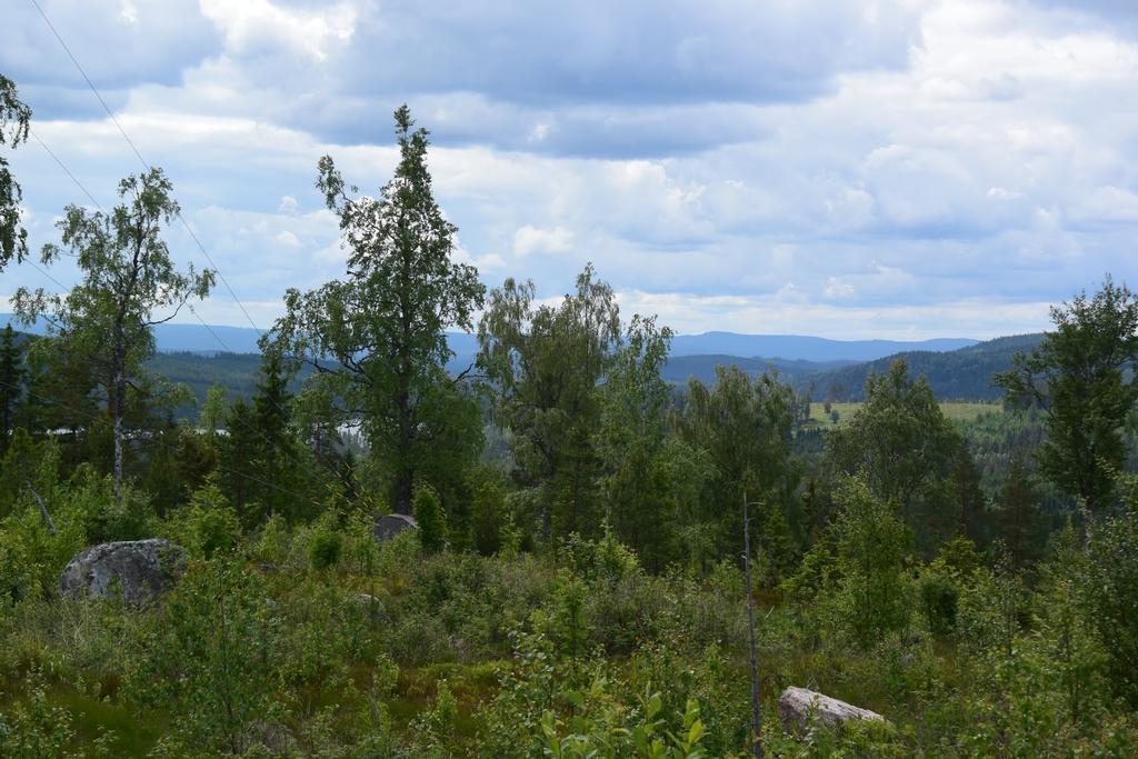 Mieps Huset Dalarna Holiday Kullen  エクステリア 写真