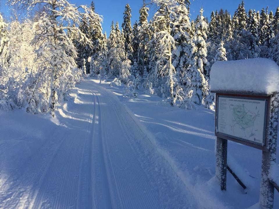 Mieps Huset Dalarna Holiday Kullen  エクステリア 写真